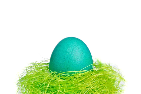 鸟巢中的复活节蛋 — 图库照片