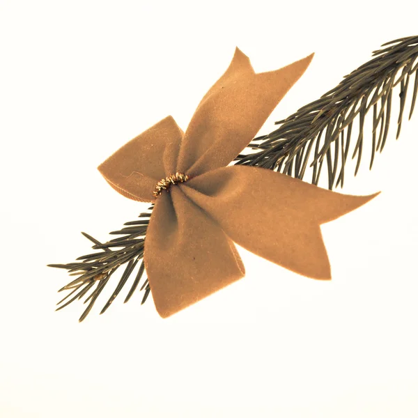 Διακοσμημένο χριστουγεννιάτικο δέντρο υποκατάστημα — Φωτογραφία Αρχείου