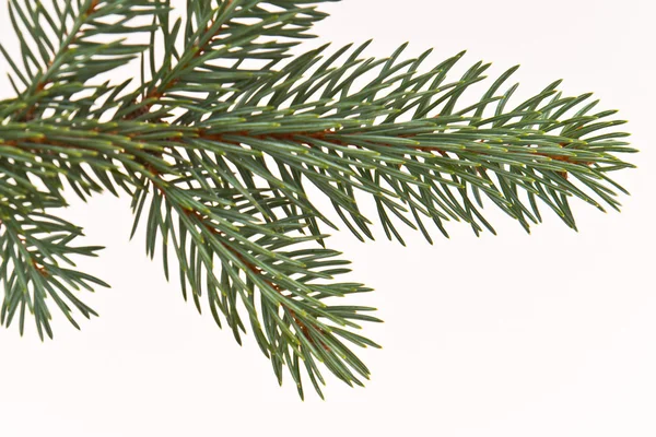 Χριστουγεννιάτικο δέντρο διακόσμηση — Φωτογραφία Αρχείου