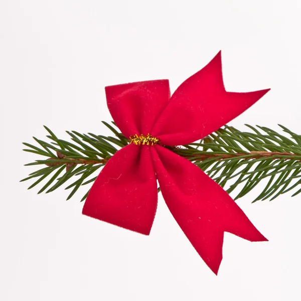 Díszített karácsonyfa ága — Stock Fotó