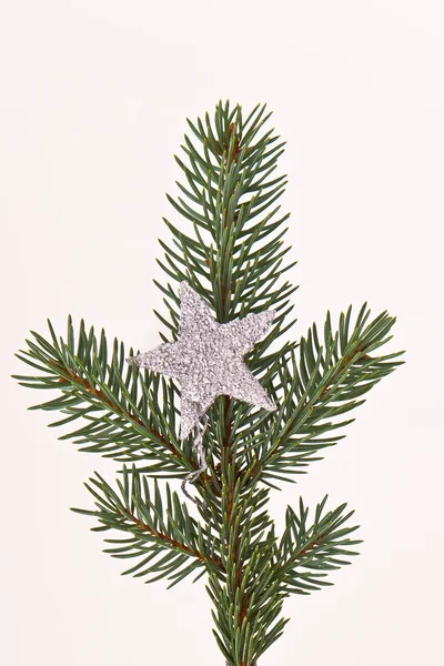 Kerstboom met ster — Stockfoto