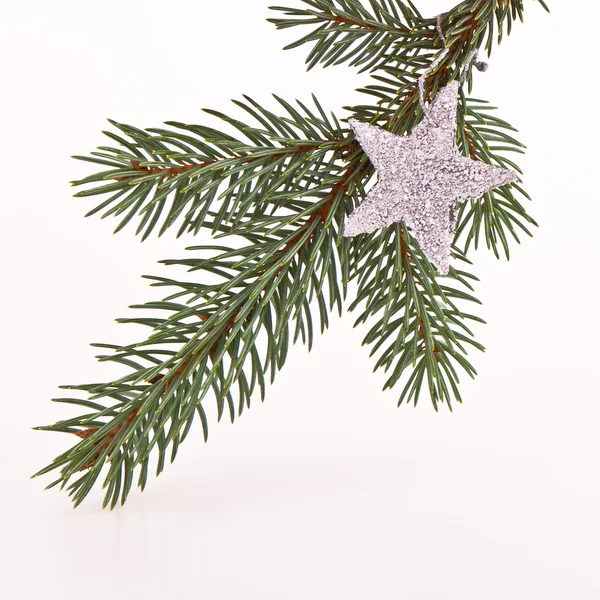 Julgran med stjärna — Stockfoto