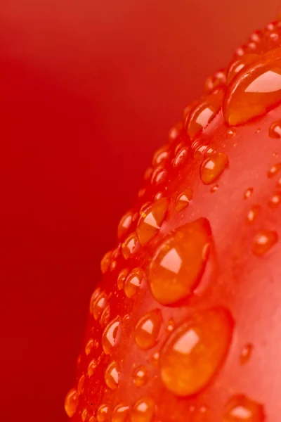 Closeup ντομάτα — Φωτογραφία Αρχείου