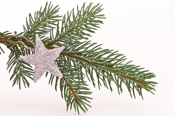 Julgran med stjärna — Stockfoto