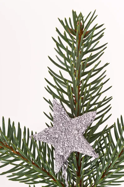 Weihnachtsbaum mit Stern — Stockfoto