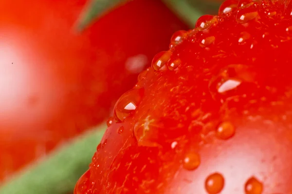 Tomato closeup — Stock Photo, Image