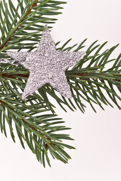Рождественская елка со звездой — стоковое фото