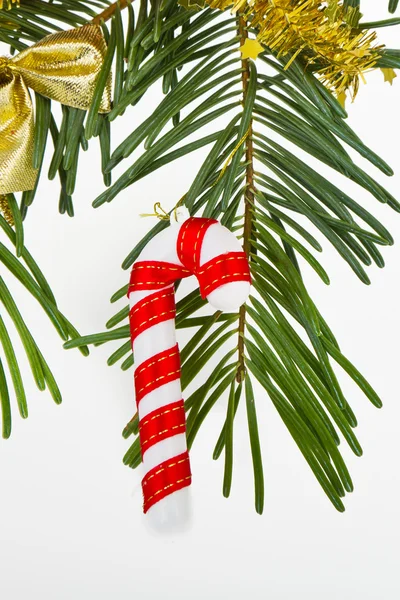 Vánoční větev — Stock fotografie