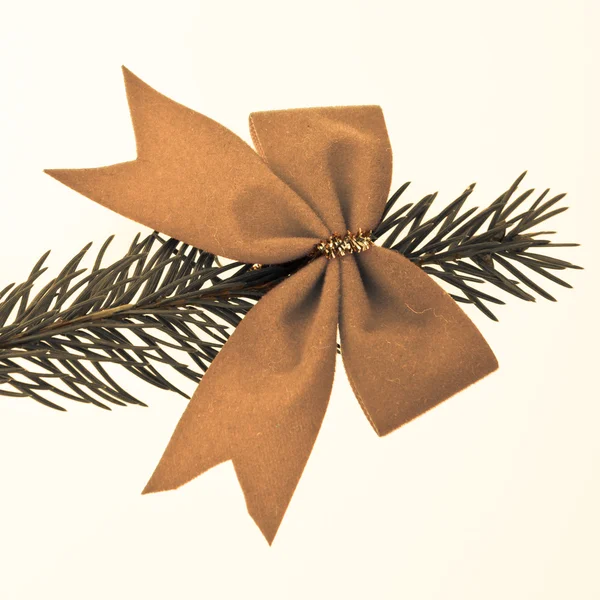 Boże Narodzenie drzewo gałąź urządzone — Zdjęcie stockowe