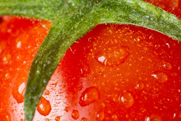 Closeup ντομάτα — Φωτογραφία Αρχείου