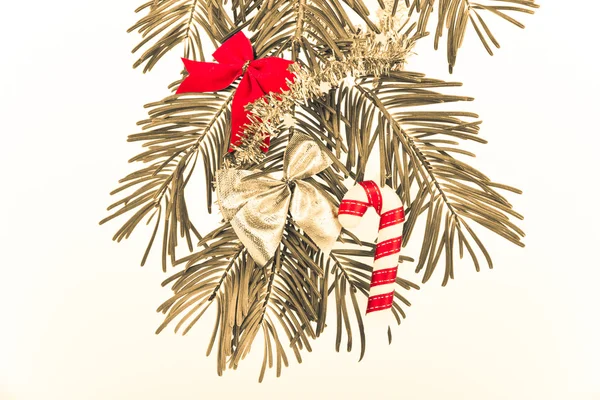 Рождественская ветвь — стоковое фото