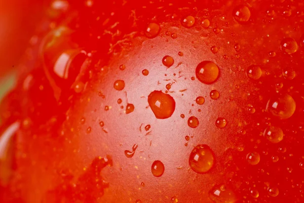 Pomidor zbliżenie — Zdjęcie stockowe