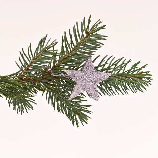 Árbol de Navidad con estrella —  Fotos de Stock