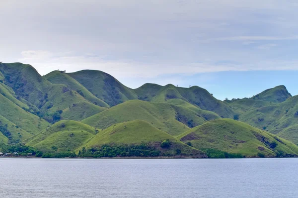 Stock image Komodo Island landscape