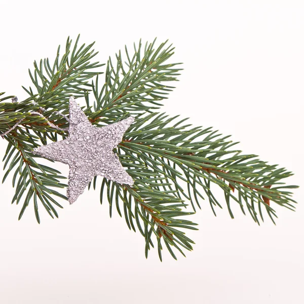 星とクリスマスツリー — ストック写真