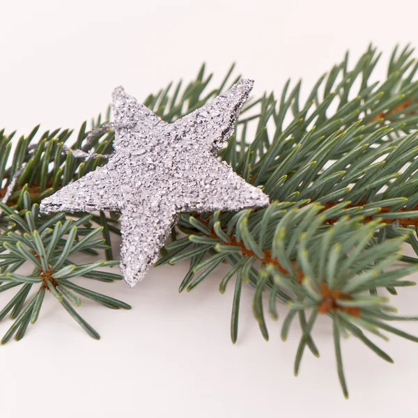 Vánoční stromek s hvězdou — Stock fotografie