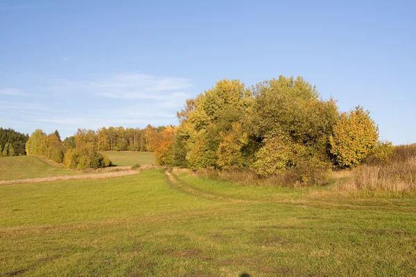 Stock image A beautiful colorful autumn landscape