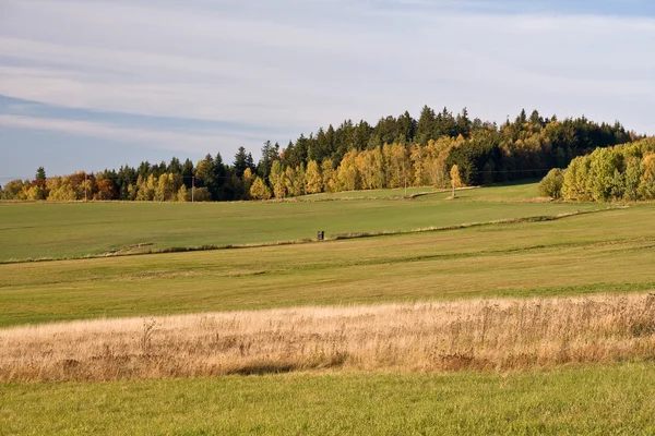 Красивий барвистий осінній пейзаж — стокове фото