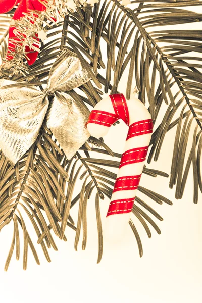 Kerstmis branch — Stockfoto