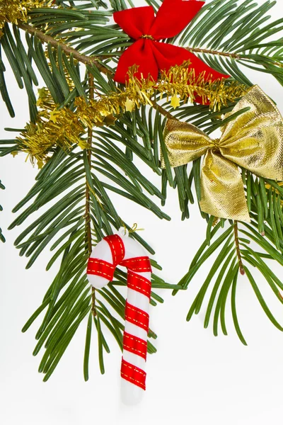 Vánoční větev — Stock fotografie