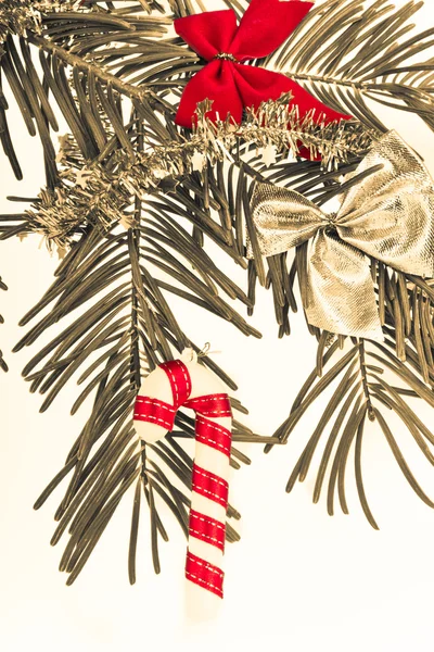 Kerstmis branch — Stockfoto