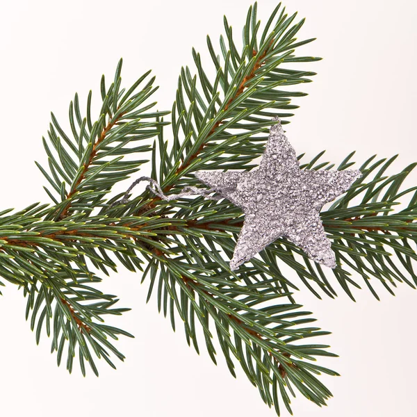 星とクリスマスツリー — ストック写真