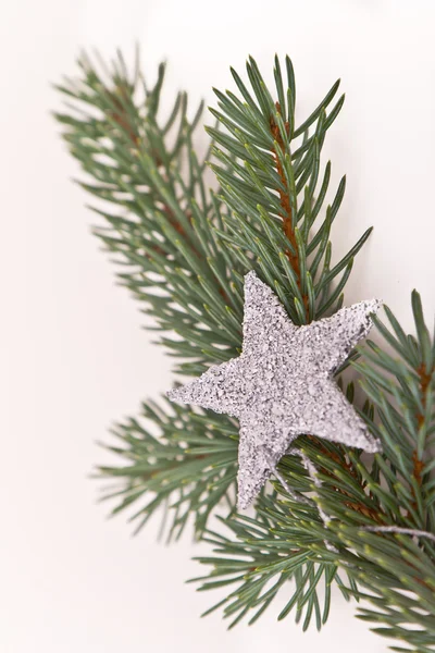 Christmas tree with star Stock Picture