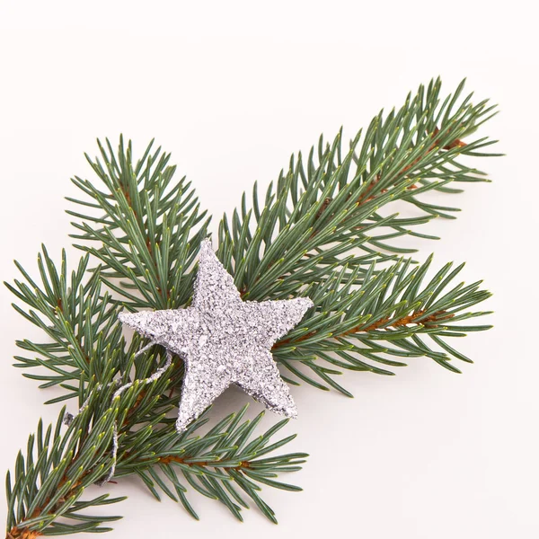 Christmas tree with star — Stock Photo, Image