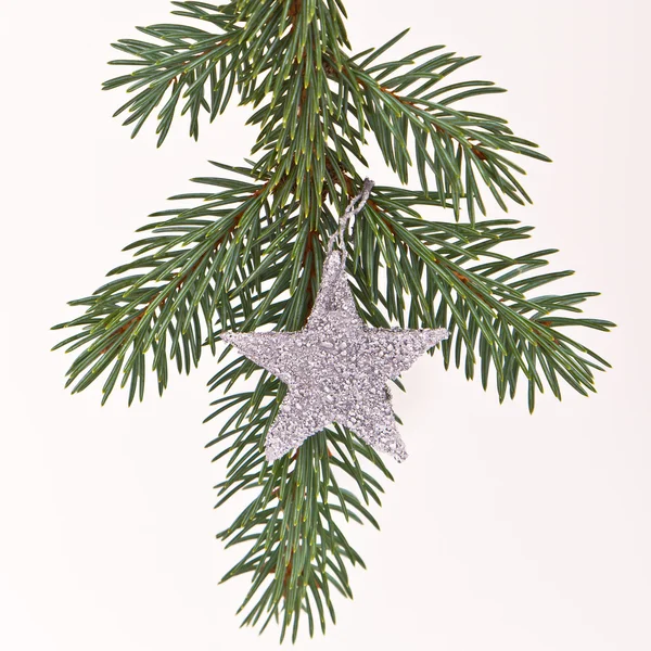 Christmas tree with star Royalty Free Stock Photos