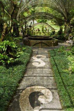 Balinese botanical garden clipart