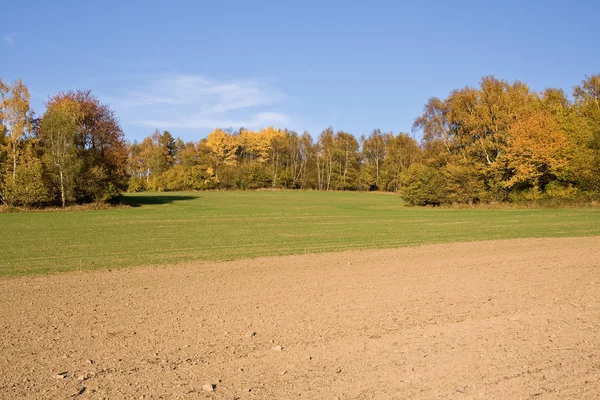Höstens landskap — Stockfoto