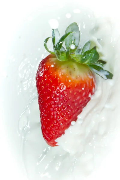 Strawberry splashing into milk — Stock Photo, Image