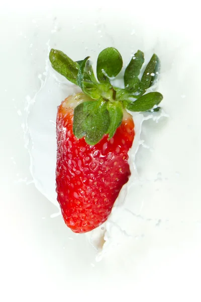 stock image Strawberry splashing into milk