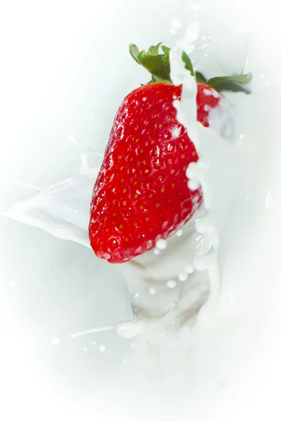 유액에 튀긴 딸기 — 스톡 사진