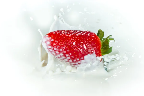유액에 튀긴 딸기 — 스톡 사진