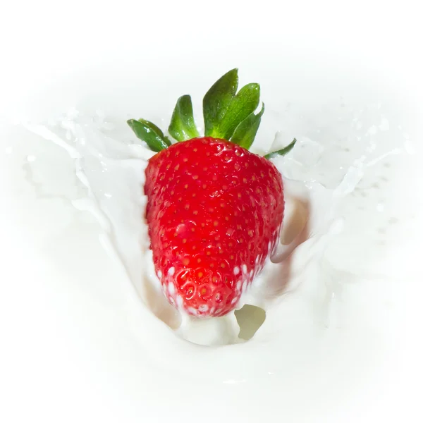स्ट्रॉबेरी दूध में स्प्लैशिंग — स्टॉक फ़ोटो, इमेज