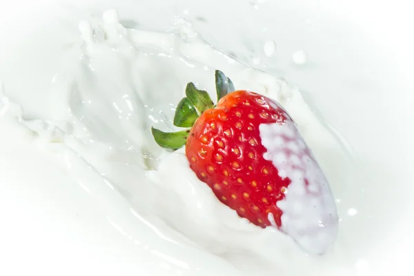 Jordbær plasker i melk – stockfoto