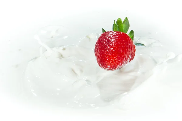 Jordbær plasker i melk – stockfoto