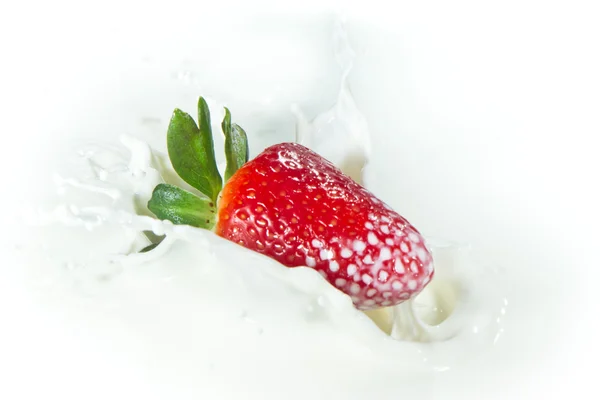 Fresa salpicando en la leche — Foto de Stock