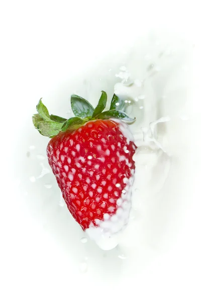 स्ट्रॉबेरी दूध में स्प्लैशिंग — स्टॉक फ़ोटो, इमेज