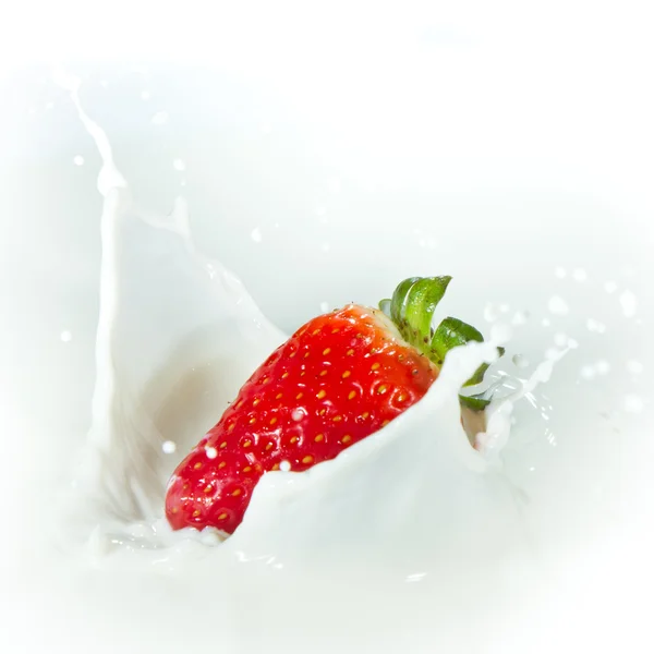 Erdbeere spritzt in Milch — Stockfoto
