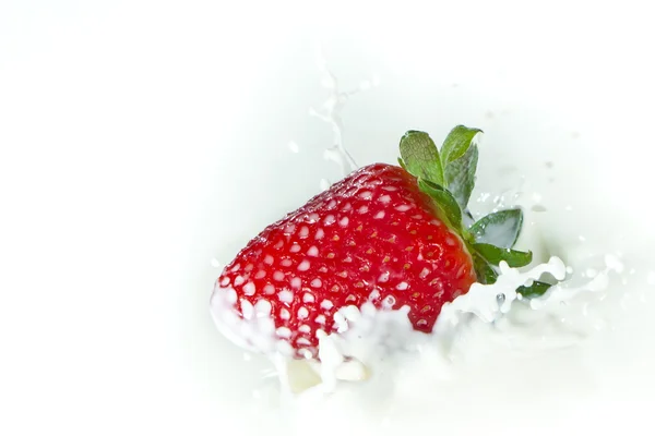 Πιτσιλιές φράουλα στο γάλα — Φωτογραφία Αρχείου