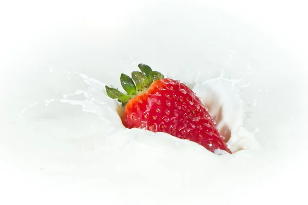 Fresa salpicando en la leche — Foto de Stock