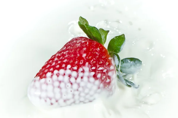 Fresa salpicando en la leche —  Fotos de Stock