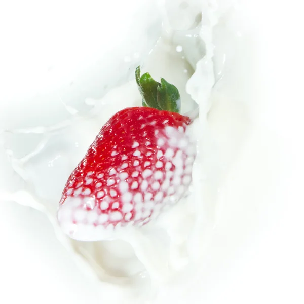 Fraise éclaboussant dans le lait — Photo