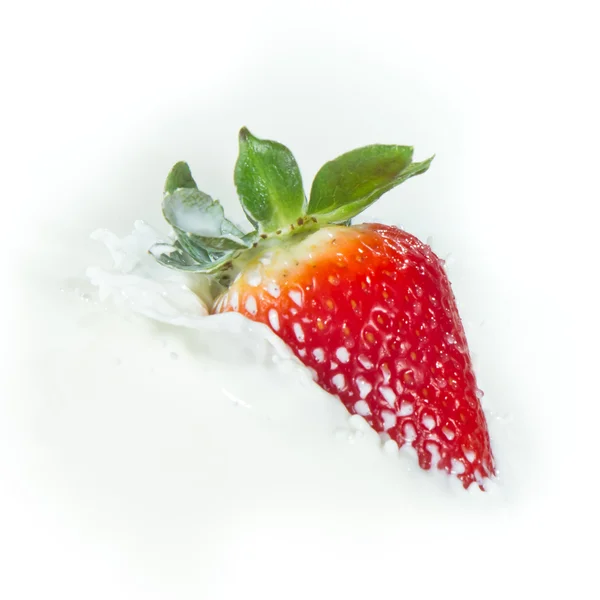 Aardbeien spatten in melk — Stockfoto