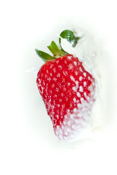 Πιτσιλιές φράουλα στο γάλα — Φωτογραφία Αρχείου