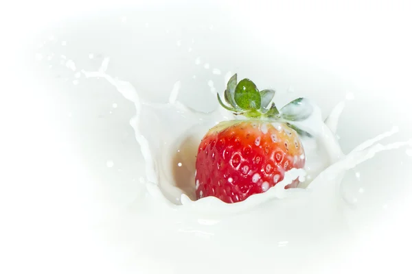 Aardbeien spatten in melk — Stockfoto
