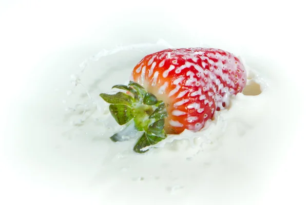 Strawberry percikan ke susu — Stok Foto