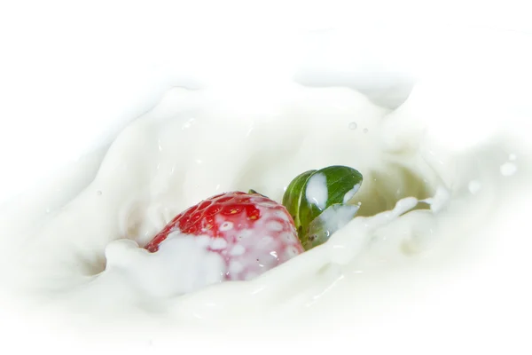 stock image Strawberry splashing into milk